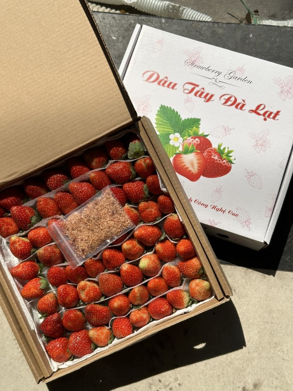 Dâu tây Đà Lạt 1kg