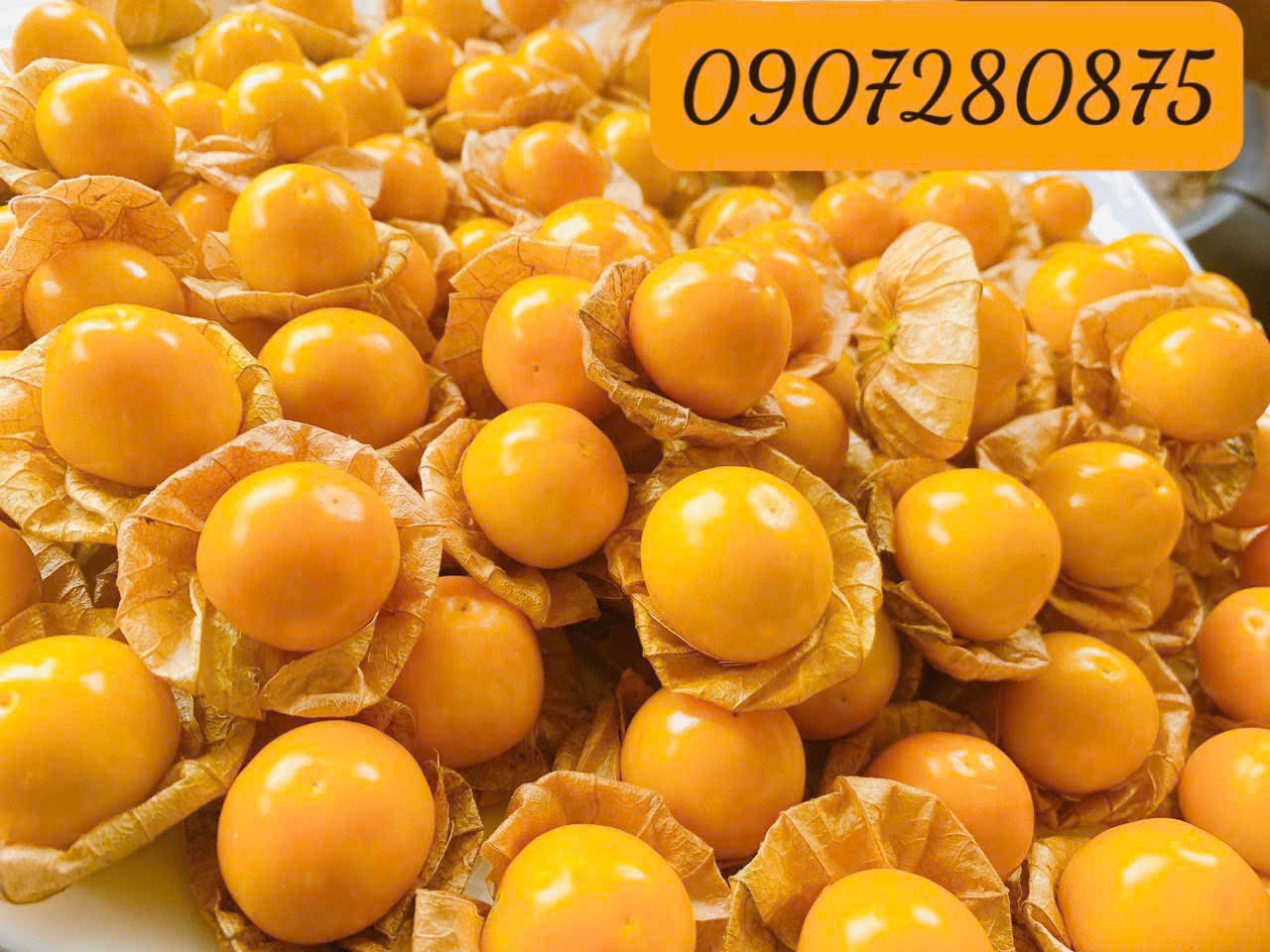 Quả Thù Lù Tầm Bóp