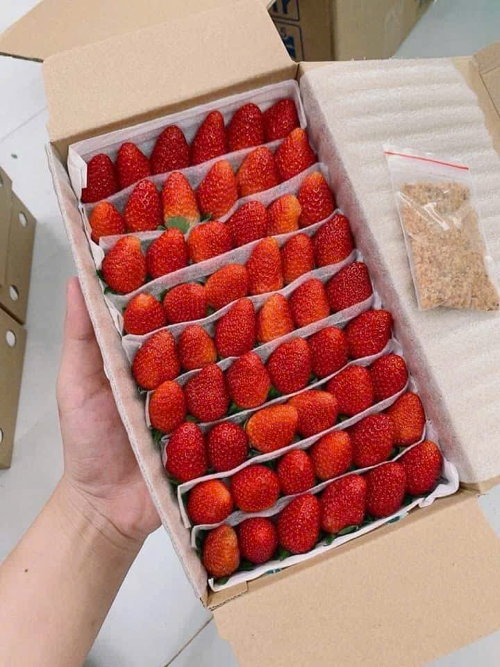 Dâu Đà Lạt Loại 1 Kg