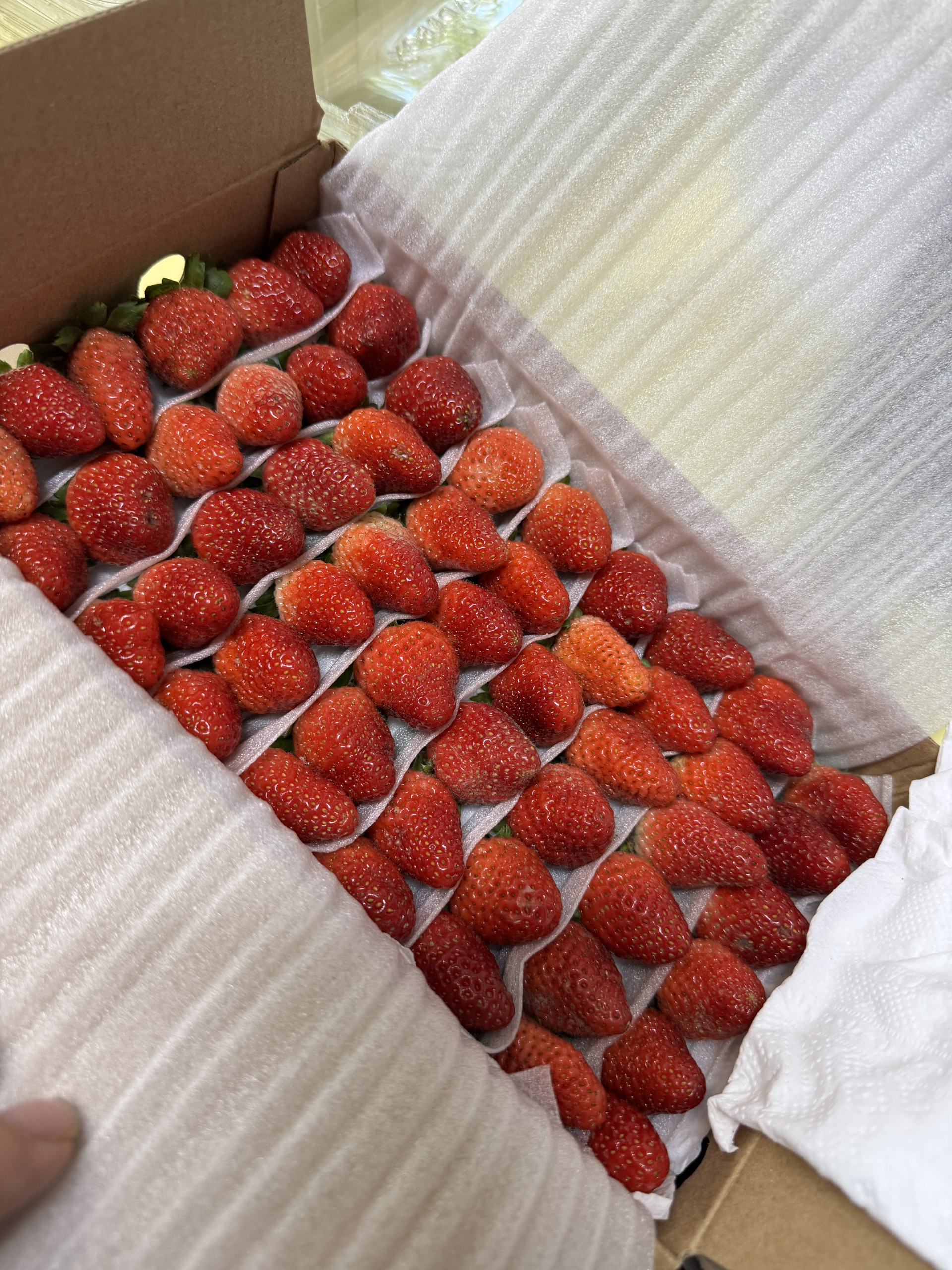 Dâu Tươi Đà Lạt